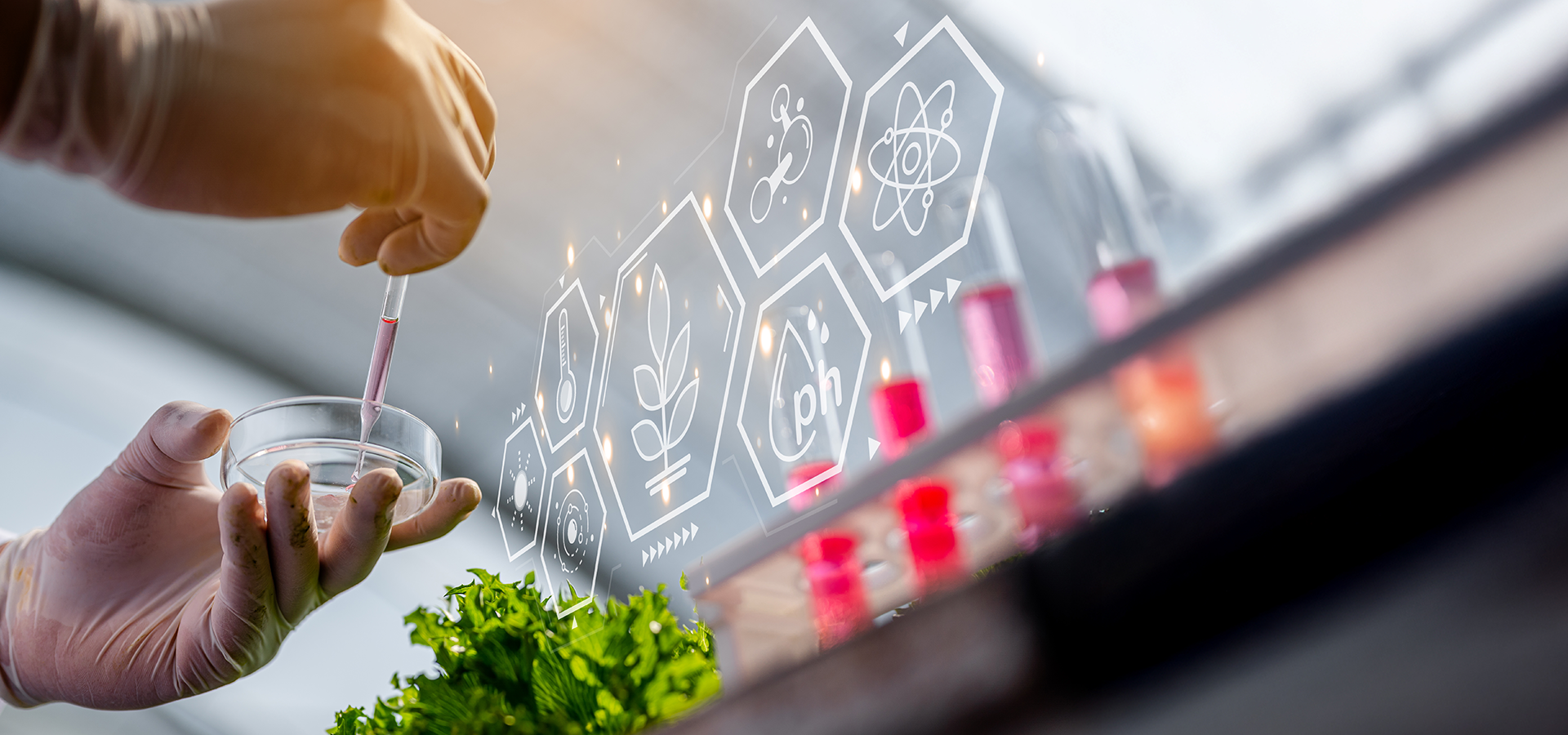 Biotecnologia e Controle de Qualidade: Processos e Aplicações