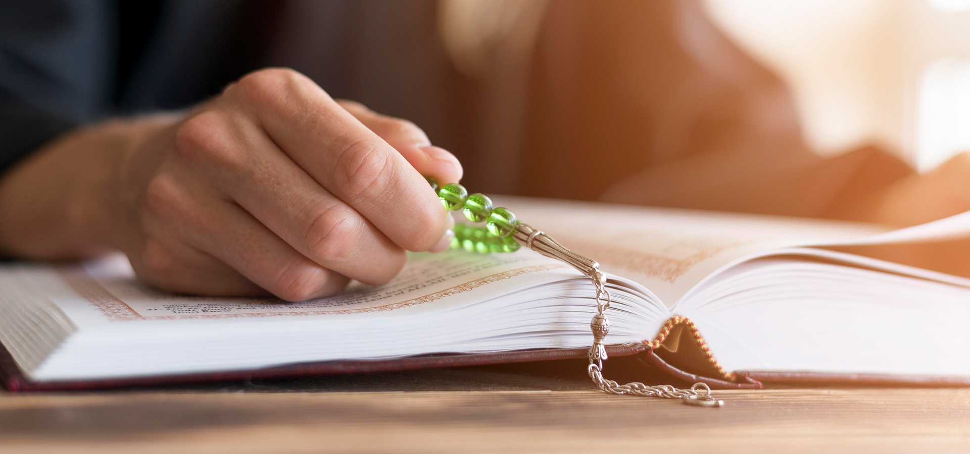 Teologia e Questões Ambientais