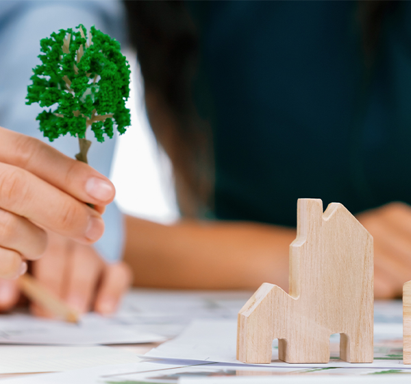 Gestão de Projetos em Engenharia e Meio Ambiente