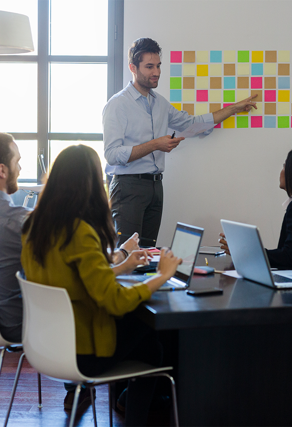 Facilitador de Desenvolvimento Organizacional
