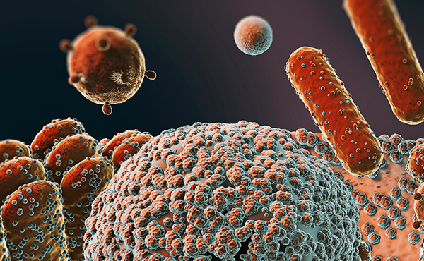 Bases Morfofuncionais: da Célula ao Corpo Humano