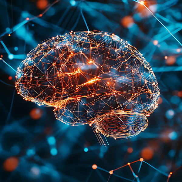 Educação e Neurociência
