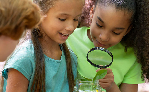 Ensino de Ciências: Práticas Inovadoras e Educação Ambiental na Escola