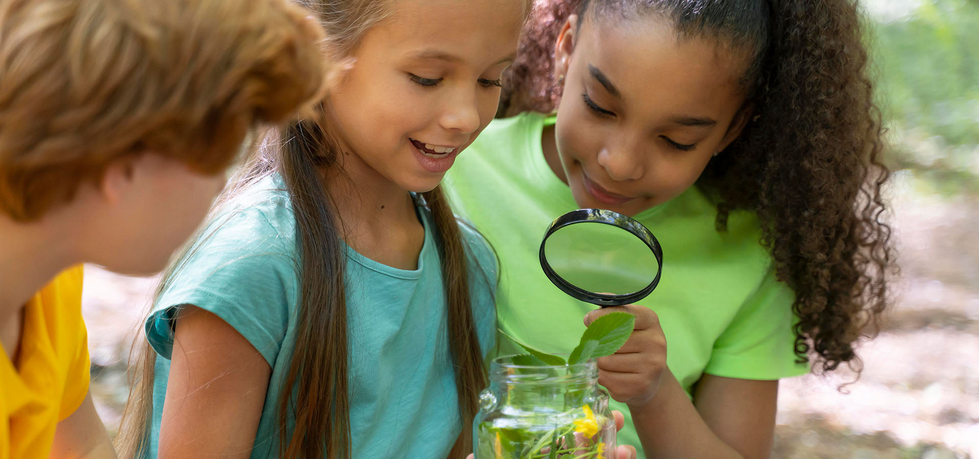 Ensino de Ciências: Práticas Inovadoras e Educação Ambiental na Escola