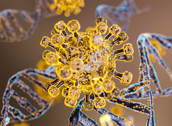 Bases Celulares e Biomoleculares: Estrutura e Função