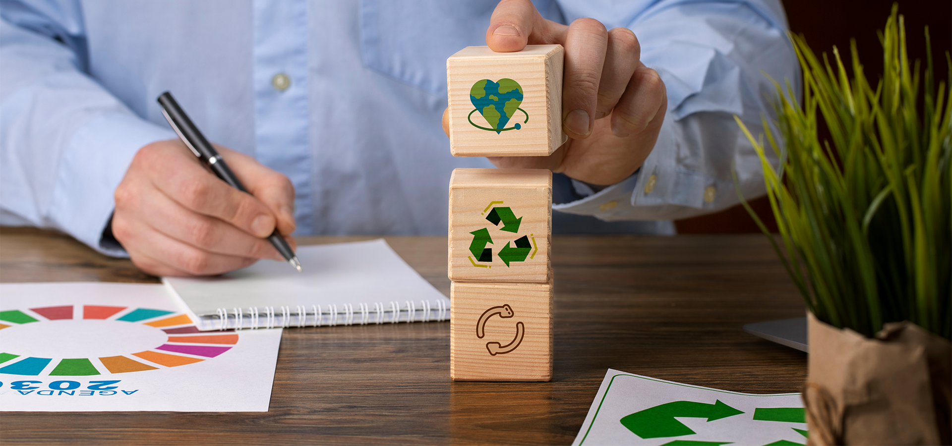 Licenciamento e Certificação Ambiental: da Lei à Sustentabilidade