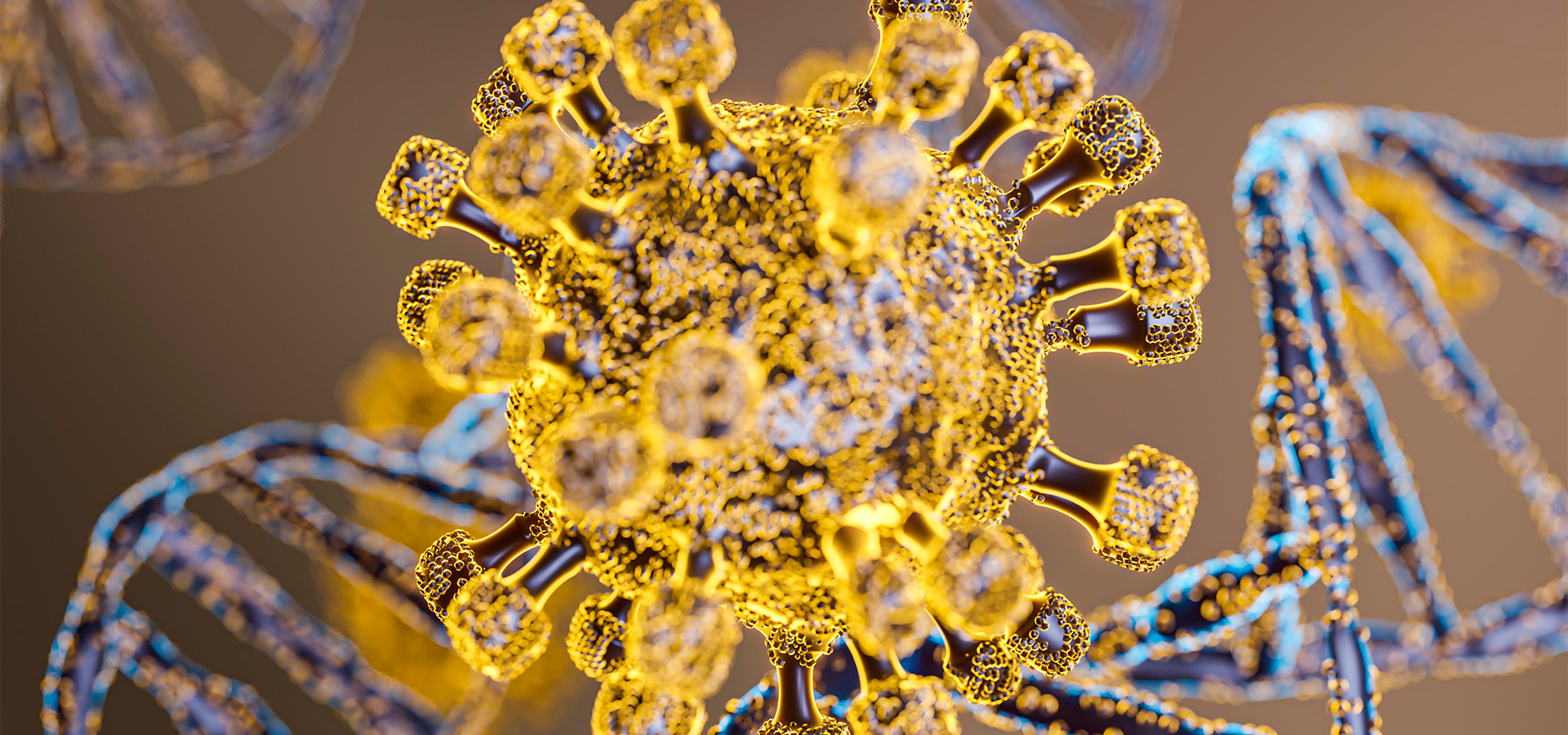 Bases Celulares e Biomoleculares: Estrutura e Função