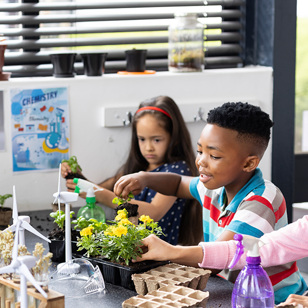 Pedagogia em Ação: Transformando Espaços Além da Escola