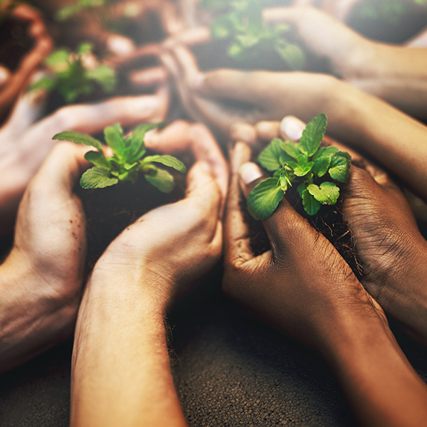 Serviço Social e Sustentabilidade