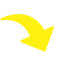 Seta